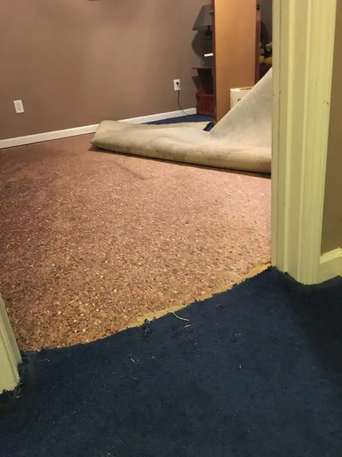 Carpet pad removal revealing water damage during Drying & Dehumidification in Frankenmuth