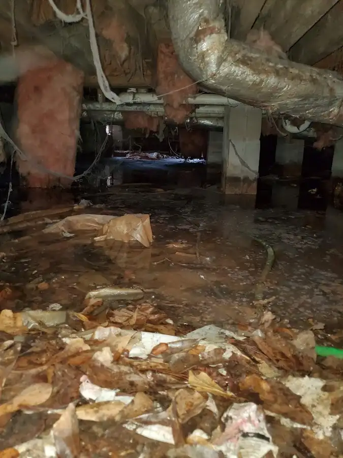 Crawl space flood assessment for Leak Detection & Repair in Frankenmuth